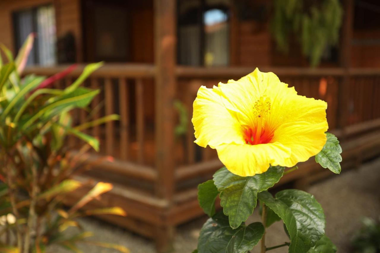 Casa Marcellino Lodge カウイータ エクステリア 写真