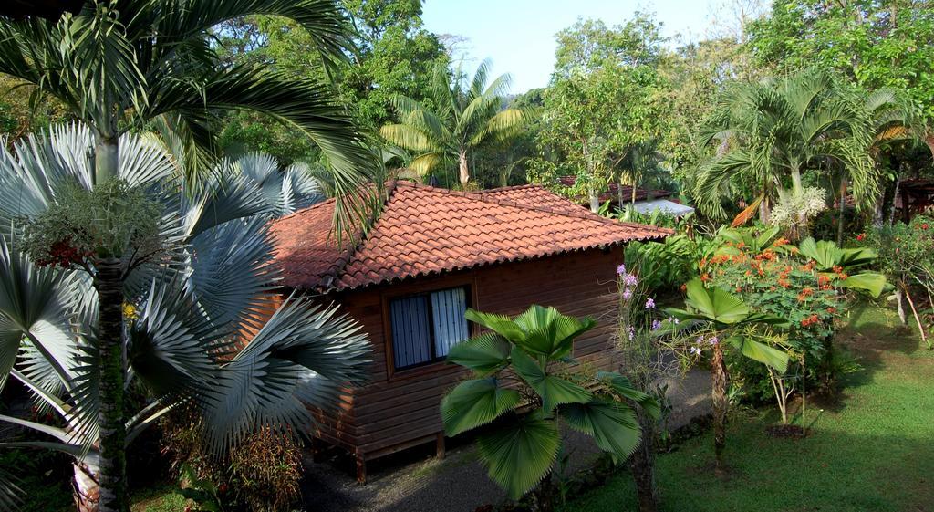 Casa Marcellino Lodge カウイータ エクステリア 写真