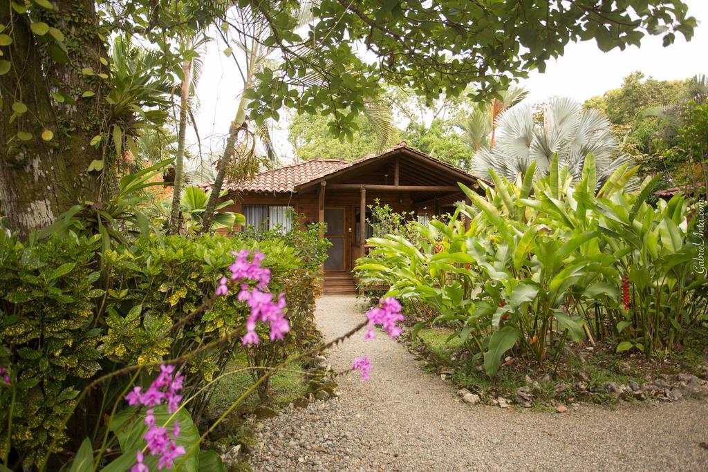 Casa Marcellino Lodge カウイータ エクステリア 写真