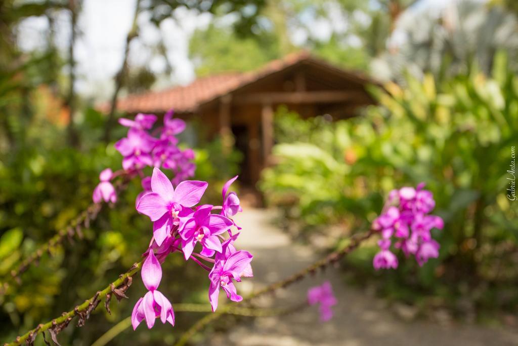 Casa Marcellino Lodge カウイータ エクステリア 写真